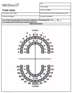 20+ Free Printable Dental Chart Forms & Templates (PDF) » Template Republic