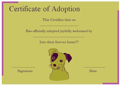 puppy adoption certificate