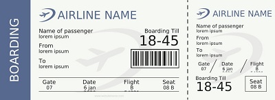 Airline Ticket Sample