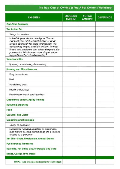 Pet Local Rescue Budget Worksheet