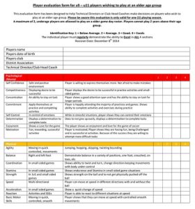 44+ Free Printable Player Evaluation Form Templates (PDF, MS Excel ...