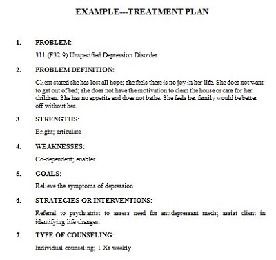 treatment plan template word